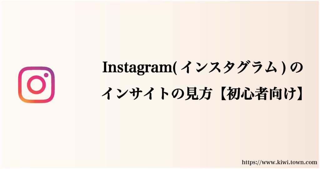 instagram-insight-6